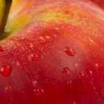 Овощи, фрукты, ягоды, зелень — являются одним из источников заражения паразитами.